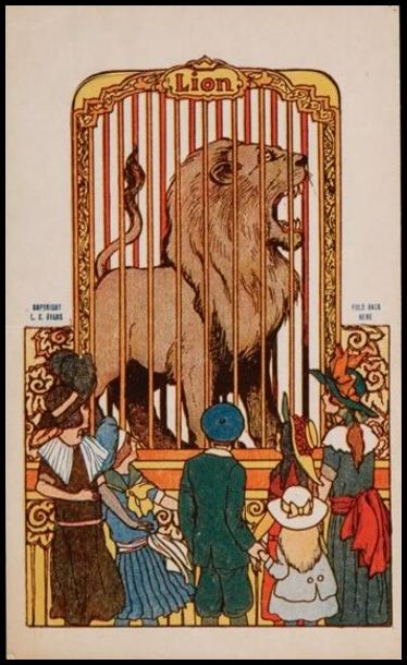 19 Lion In Cage
